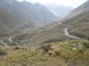 Downhill 1 (15).jpg